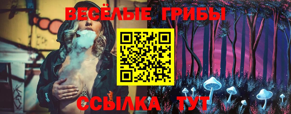 Галлюциногенные грибы Magic Shrooms Качканар